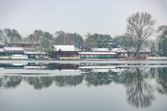 北京什刹海雪景