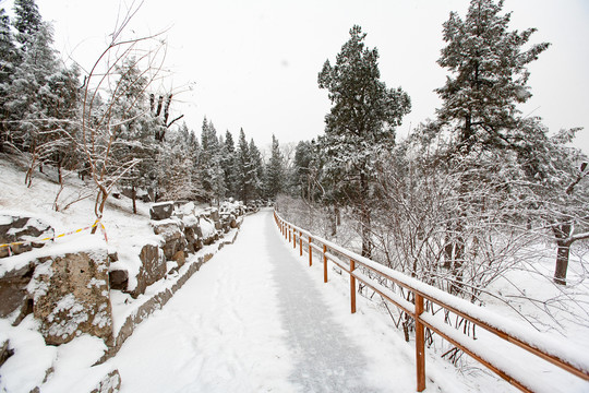 北京什刹海雪景