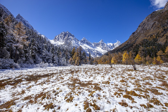 雪山高原