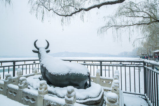 颐和园铜牛雪景