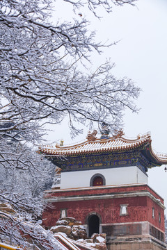 北京颐和园四大部洲雪景