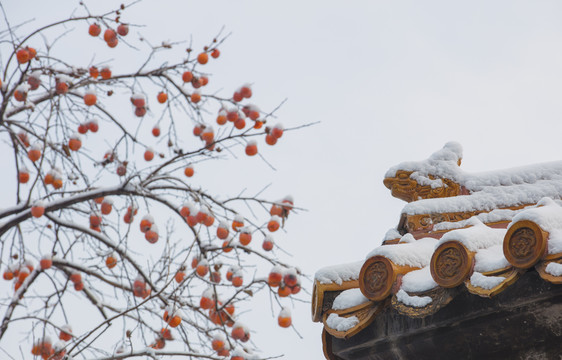 北京故宫冬日雪景
