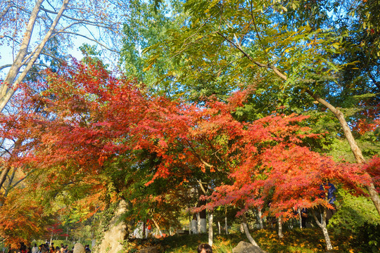 栖霞寺