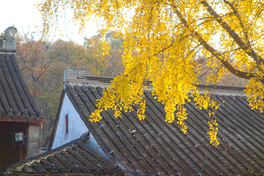 栖霞寺