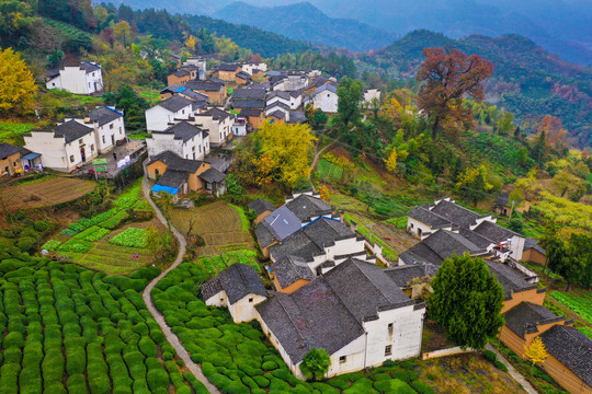 山村风光