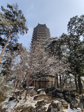 北京大学风光