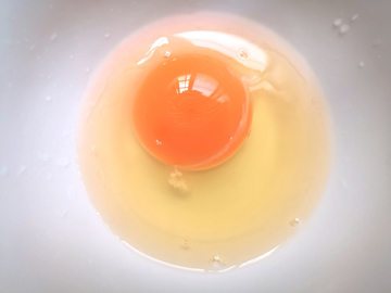 鸡蛋蛋黄