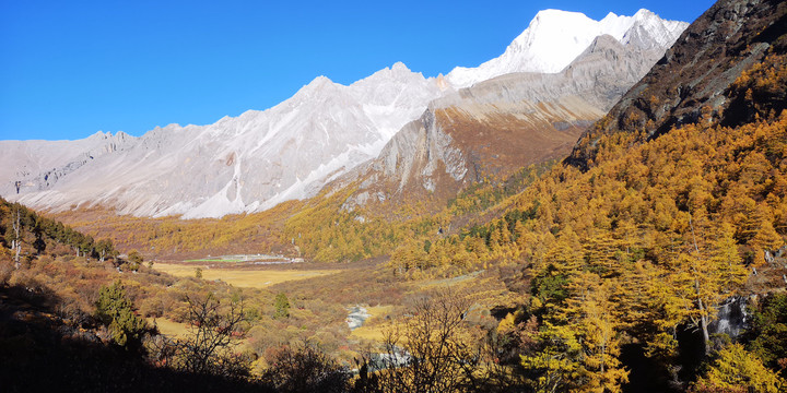 稻城亚丁秋天风景