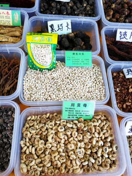 中药