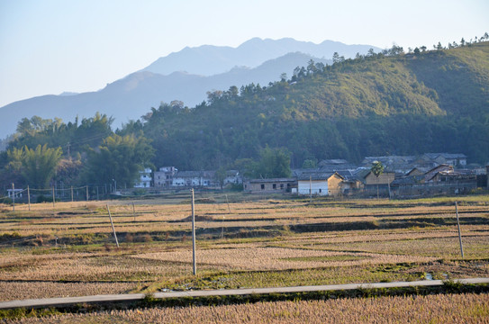 广东农村