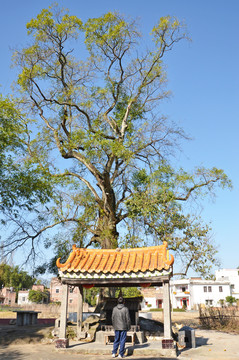 土地祠