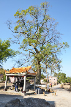 土地祠