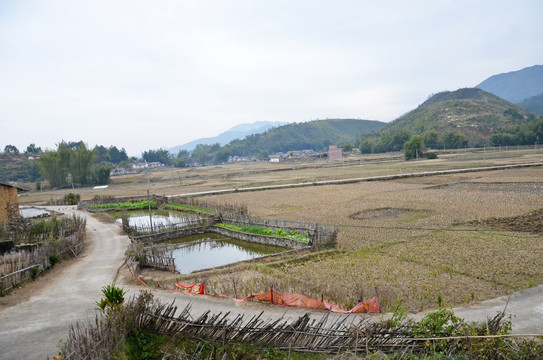 乡村道路