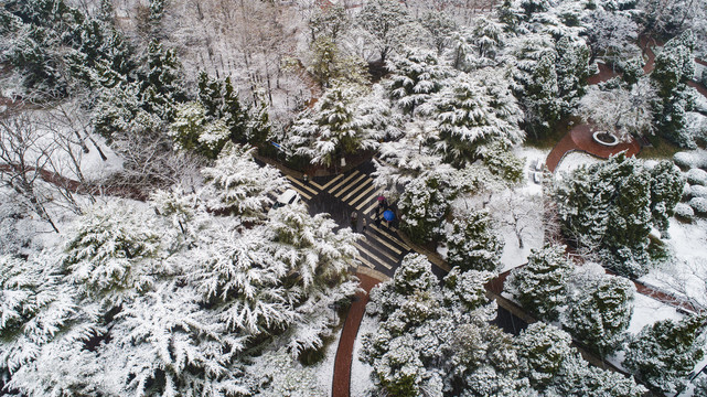 航拍雪后青岛八大关