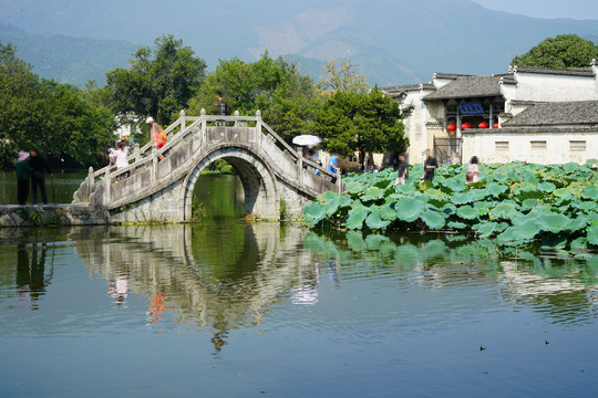 黄山宏村南湖荷塘和画桥的景色