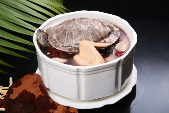 鲜灵芝炖老龟汤
