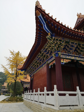 寺庙秋色 贵阳西普陀寺