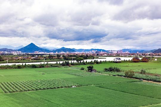 郊区田野