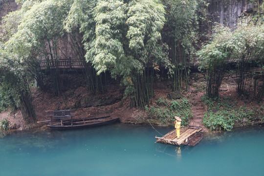 竹林河流