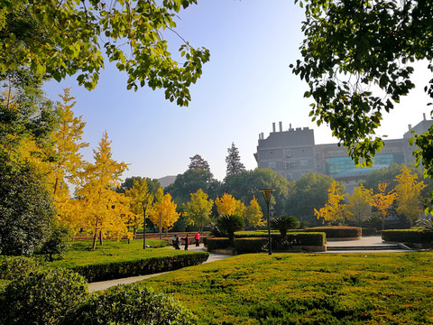 武汉大学