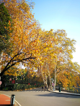 武汉大学