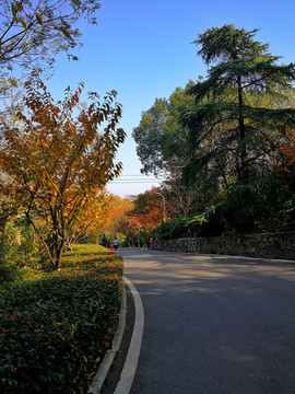 武汉大学