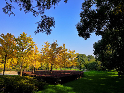 武汉大学