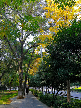 武汉大学