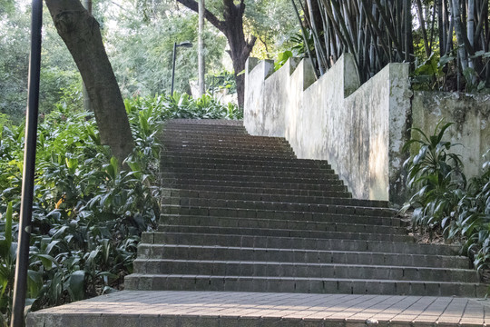 水泥台阶