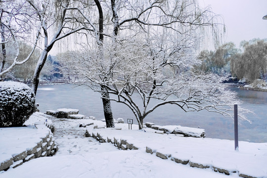 雪景