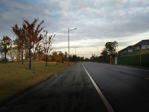 新市镇绿化道路