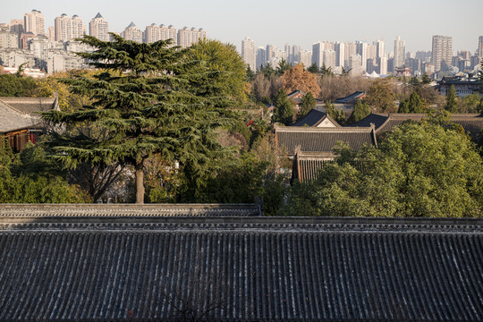 大雁塔景区屋顶