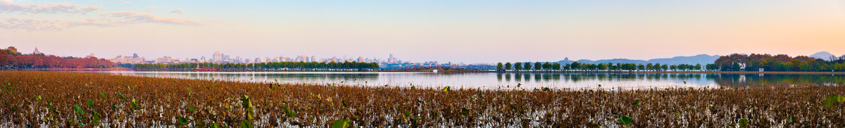 西湖全景