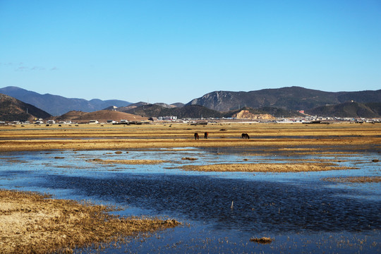 香格里拉纳帕海