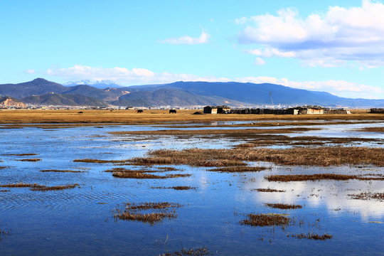 香格里拉纳帕海