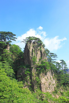 黄山风光