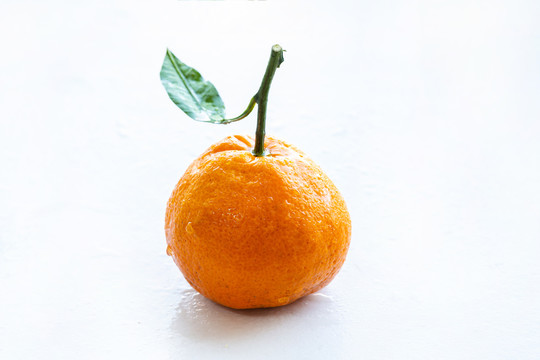 丑橘高清素材