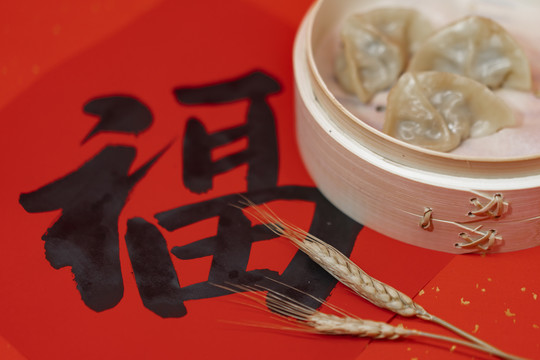 中国春节年味饺子