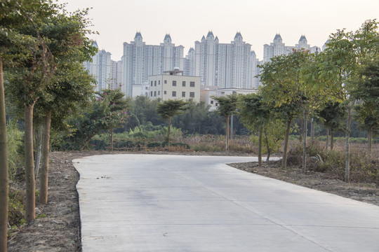 乡村公路