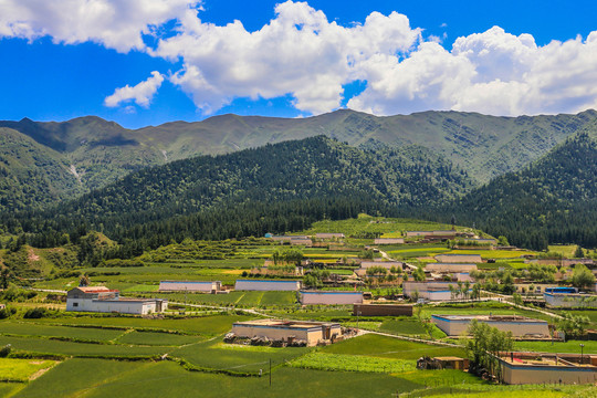 坎布拉风景