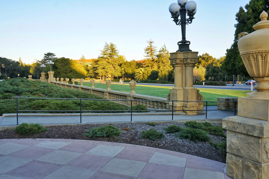 美国加州旧金山斯坦福大学