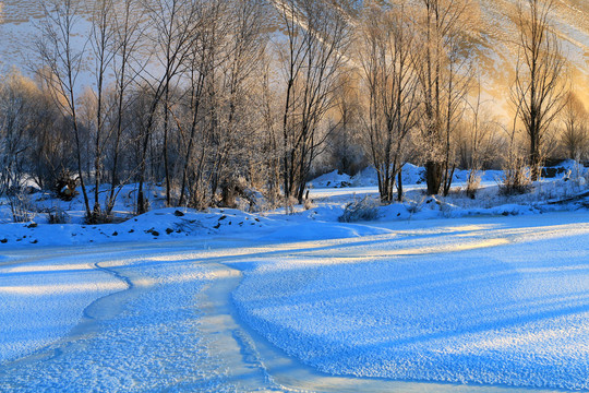 雪原树林晨雾光影