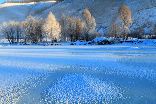 雪原树林风景