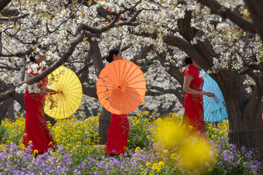 春季旗袍女人