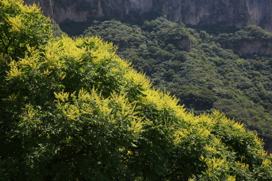 天桂山