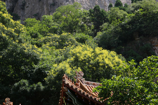 天桂山