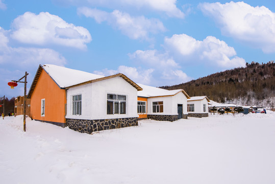 东北山村雪景