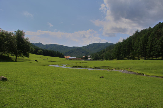 伊春金山鹿苑