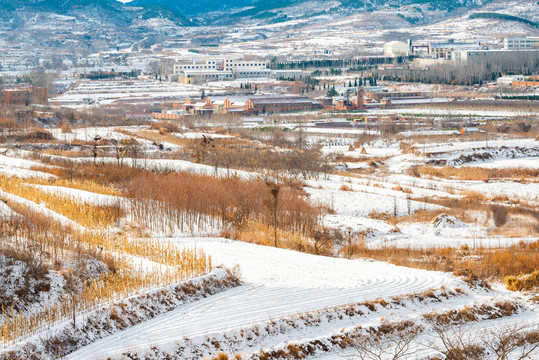 北方冬日美丽的雪后风光