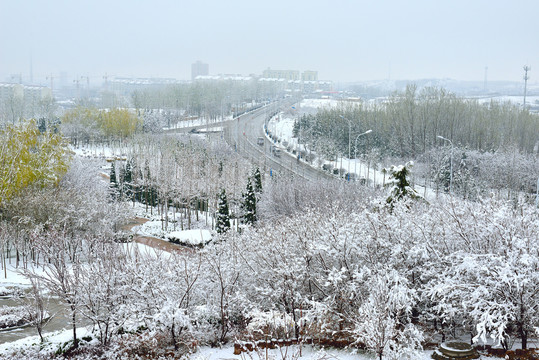 北方冬日美丽的雪后风光